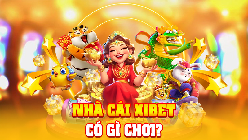 Nhà Cái XIBET Có Gì Chơi